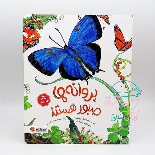 پروانه ها صبور هستند